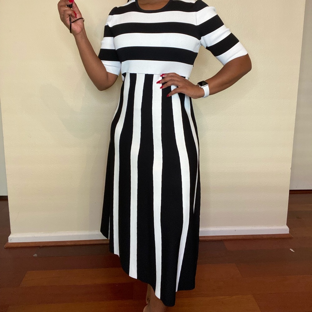 Anthropology Brand New